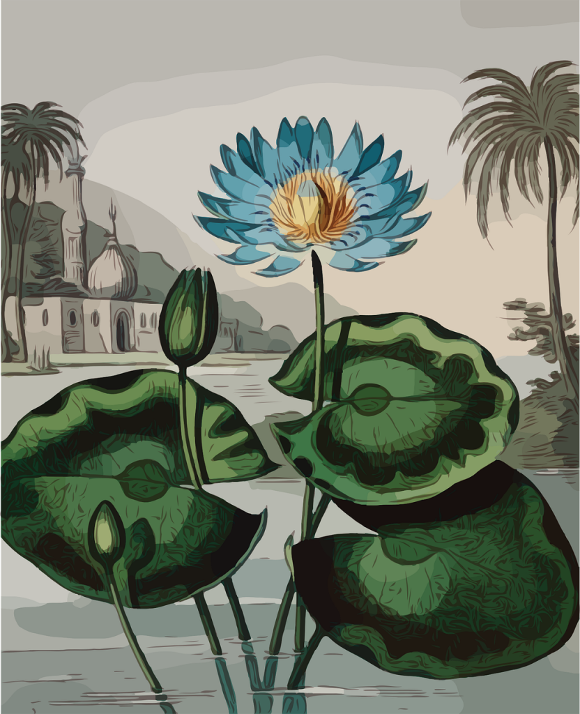 Comment réussir une décoration tropicale ?